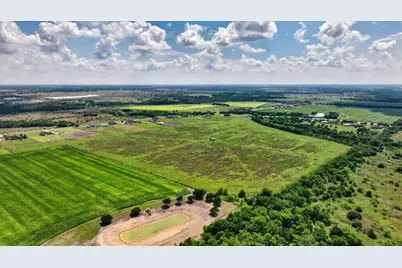 3161 Wilson Road, Palmer, TX 75152 - Photo 9