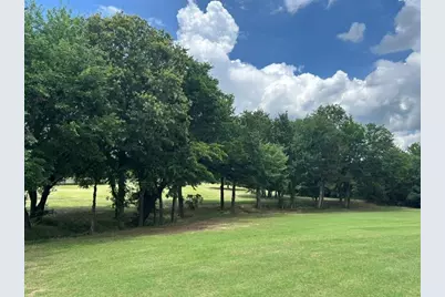 30003 N State Hwy 289, Pottsboro, TX 75076 - Photo 29