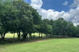 30003 N State Hwy 289, Pottsboro, TX 75076 - Photo 29
