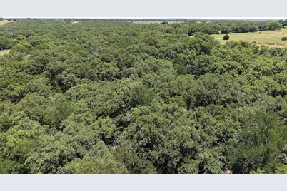 Tbd Turkey Court, Perrin, TX 76449 - Photo 3