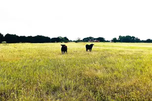 929 Cr 2357, Meridian, TX 76665 - Photo 1