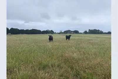 929 Cr 2357, Meridian, TX 76665 - Photo 5