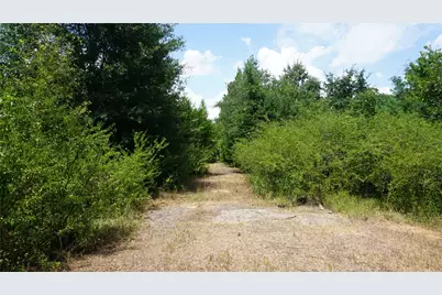 Tbd Private Road 7907, Hawkins, TX 75765 - Photo 11