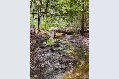 305 County Road 1145, Atlanta, TX 75551 - Photo 37
