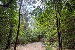 305 Co Rd 1145, Atlanta, TX 75551 - Photo 35