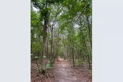305 County Road 1145, Atlanta, TX 75551 - Photo 39
