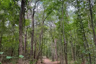 305 Co Rd 1145, Atlanta, TX 75551 - Photo 39