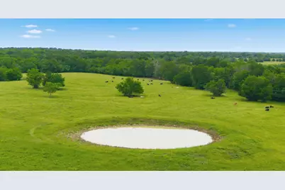7635 County Road 4209, Campbell, TX 75422 - Photo 11