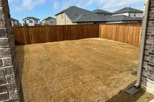 913 Amenduni Ln, Anna, TX 75409 - Photo 19