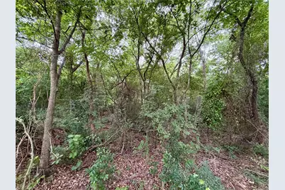 0 Garner Drive, Mabank, TX 75156 - Photo 9