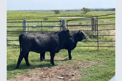 1044 Hcr 3241, Hubbard, TX 76648 - Photo 11