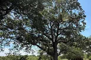 Tbd Cr 105A, Riesel, TX 76682 - Photo 23