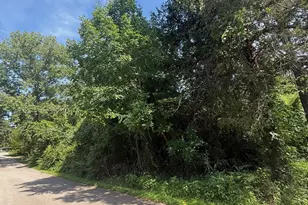 132 Ridgewood Dr, Tool, TX 75143 - Photo 1