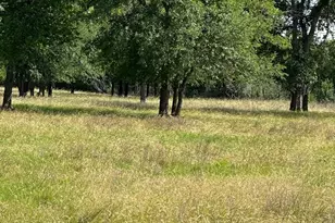 454 Hcr 2129 W, Whitney, TX 76692 - Photo 1