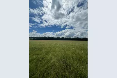 195 Pr 33267, Sumner, TX 75486 - Photo 3