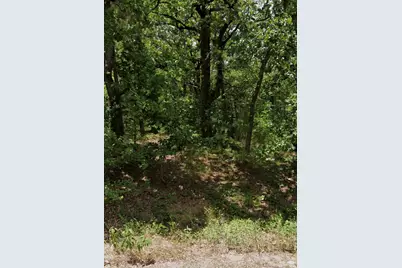 5343 Sam Bass, Log Cabin, TX 75074 - Photo 3