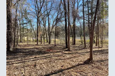 Tbd Lot 3 County Road 2200, Mineola, TX 75773 - Photo 27