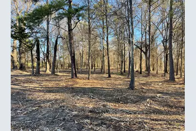 Tbd Lot 3 County Road 2200, Mineola, TX 75773 - Photo 7