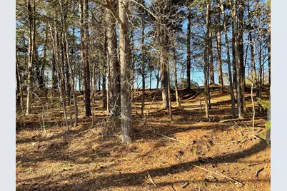 Tbd Lot 3 County Road 2200, Mineola, TX 75773 - Photo 25
