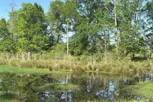2937 An County Road 2303, Montalba, TX 75853 - Photo 35