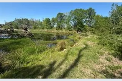 2937 An County Road 2303, Montalba, TX 75853 - Photo 33