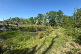 2937 An County Road 2303, Montalba, TX 75853 - Photo 33