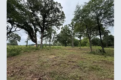 210 Livingston Street, Edgewood, TX 75117 - Photo 3