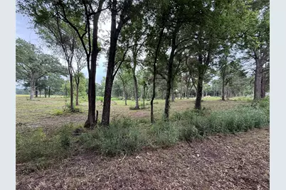 210 Livingston Street, Edgewood, TX 75117 - Photo 5