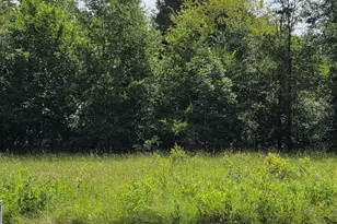 166 Deer Run Rd, Mabank, TX 75156 - Photo 1