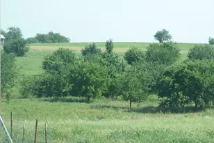 389 Hilltop Trail, New Fairview, TX 76078 - Photo 23