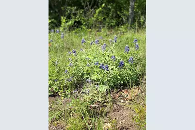 8419 Hollandbush Court, Cleburne, TX 76033 - Photo 9