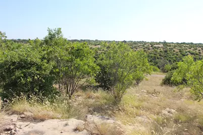 163 Baltrusol Drive, Graford, TX 76449 - Photo 3