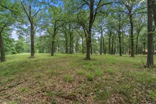 78 & 79 Tall Oaks Dr, Streetman, TX 75859 - Photo 1