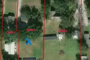 305 School House Rd, Paradise, TX 76073 - Photo 19