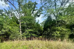 Lot 2111 Butch Cassidy Dr, Log Cabin, TX 75148 - Photo 1
