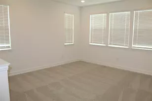 1317 Corleone Ln, Celina, TX 75009 - Photo 17