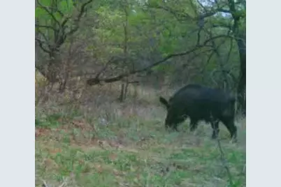 13100 US 281 North, Jacksboro, TX 76458 - Photo 5