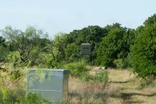 13100 US 281 N, Jacksboro, TX 76458 - Photo 9