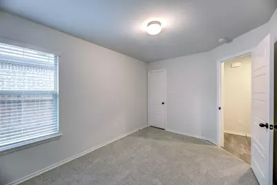 11436 Alpine Springs Drive, Aubrey, TX 76227 - Photo 17