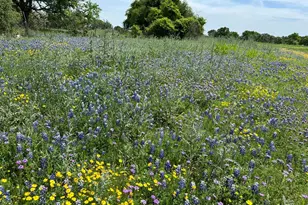 365 Grand Cyn Dr, Oglesby, TX 76561 - Photo 29