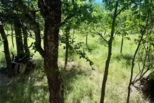 0 Cimmarron Ct, Bridgeport, TX 76426 - Photo 5