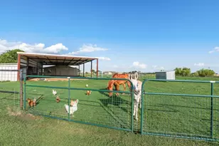 8549 S Fm 548, Royse City, TX 75189 - Photo 29
