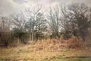 323 Daniel Boone Rd, Honey Grove, TX 75446 - Photo 1