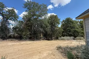 277 Zebrastone Way, Poolville, TX 76487 - Photo 17
