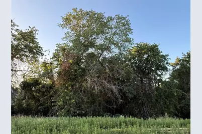 277 Zebrastone Way, Poolville, TX 76487 - Photo 15