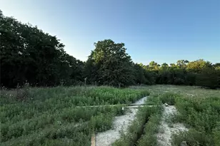281 Zebrastone Way, Poolville, TX 76487 - Photo 21