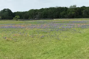 [Address not provided], Whitney, TX 76692 - Photo 1