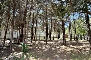 363 Willow Dr, Pottsboro, TX 75076 - Photo 11
