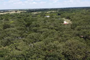 891 County Rd 3592, Paradise, TX 76073 - Photo 39