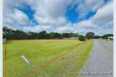 271 County Road 4443, Trenton, TX 75490 - Photo 3